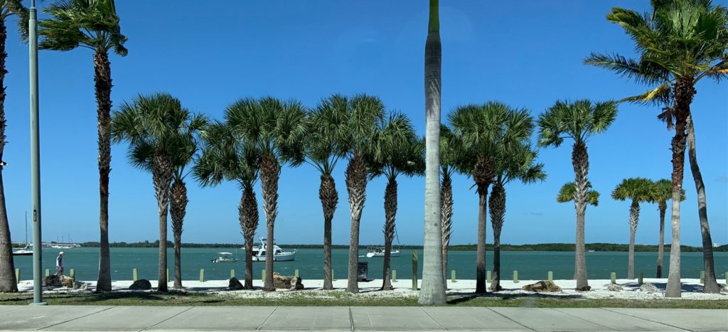 Florida palm trees along intercoastal